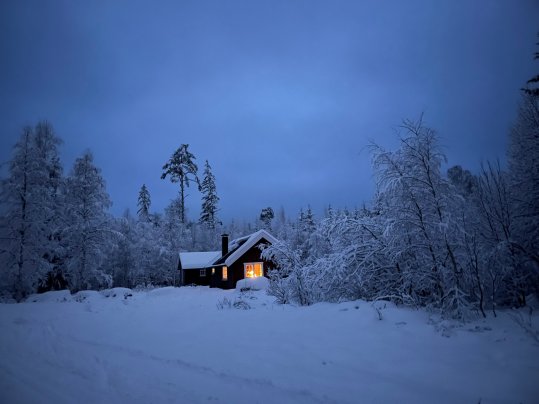 Jule- og nyttårsforgiftninger