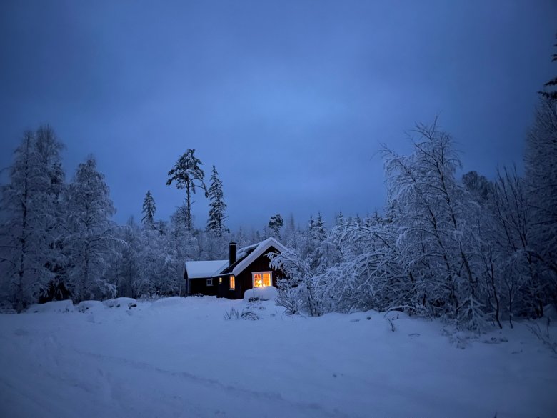 Jule- og nyttårsforgiftninger