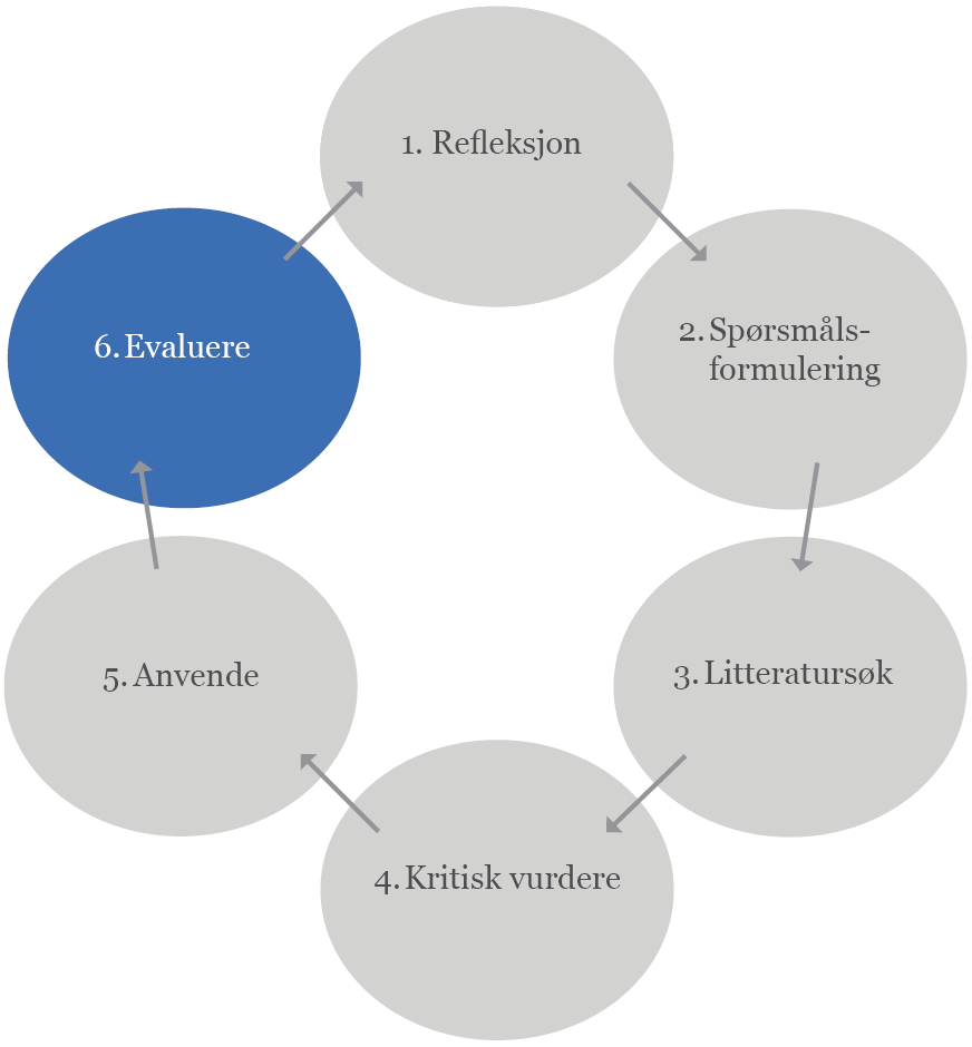 Trinn 6 Evaluere praksis