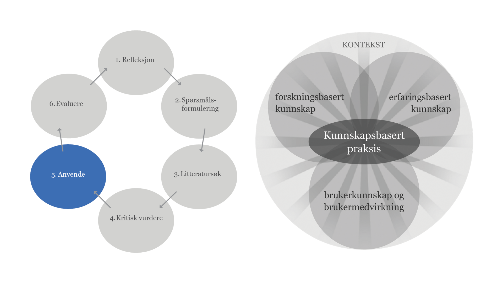 5. Anvende. kunnskapsbasert praksis