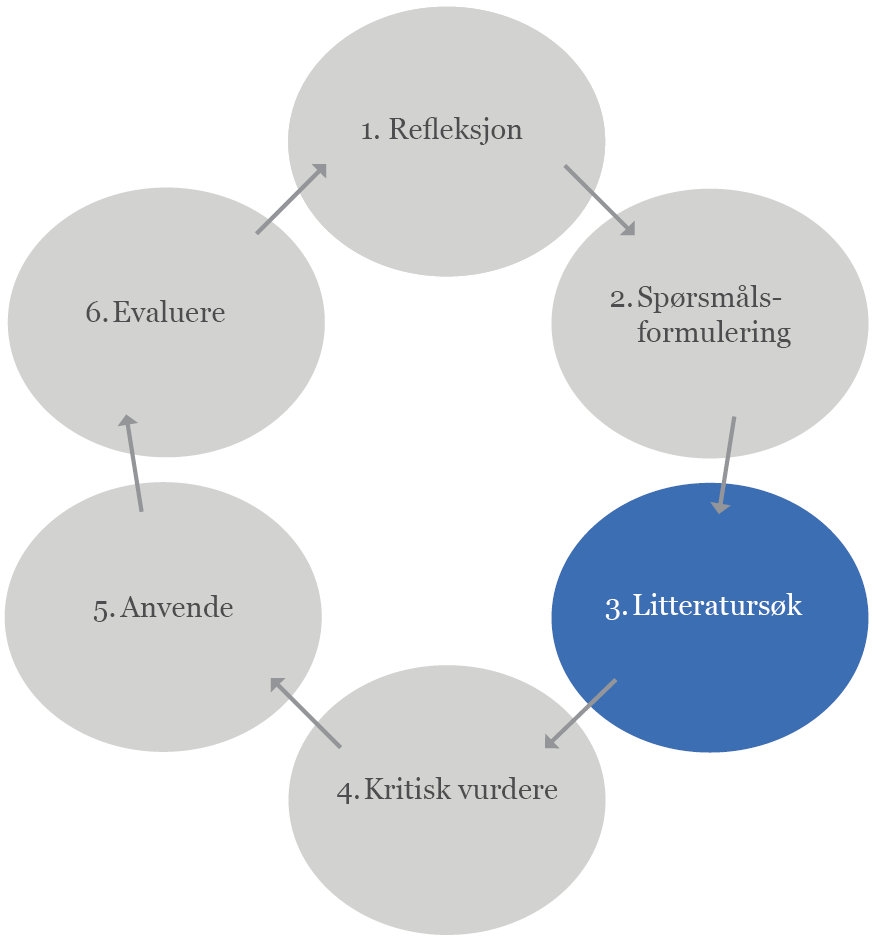 Trinn 3. Litteratursøk