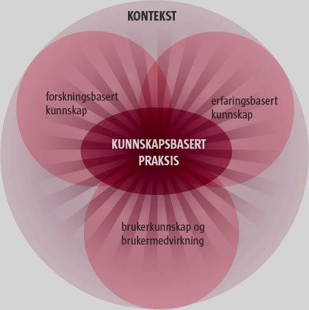 Kunnskapsbasert praksis-Illustrasjon