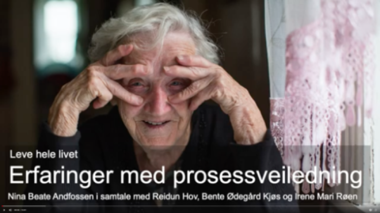 Den andre om erfaringer med prosessveiledning