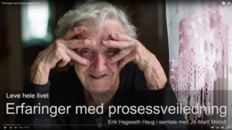 Den første om erfaringer med prosessveiledning