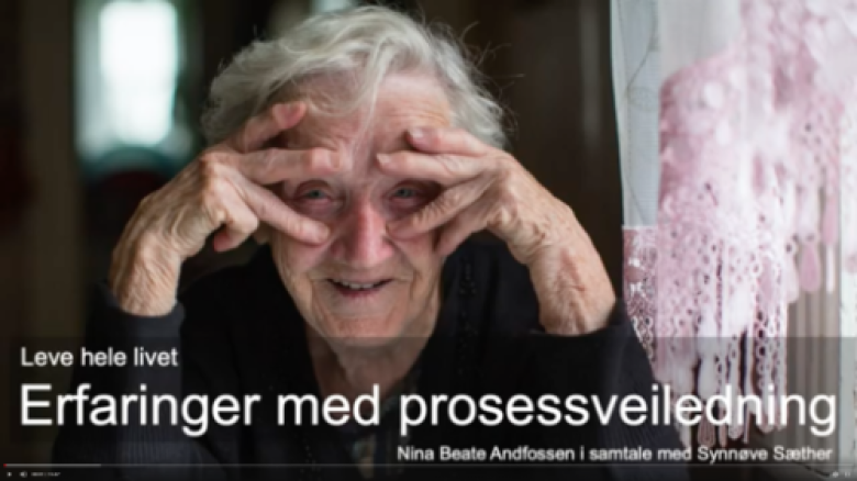 Den tredje om erfaringer med prosessveiledning