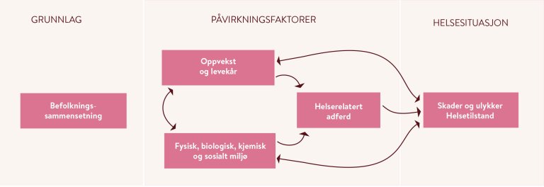 Figur VII_Systematisk folkehelsearbeid copy.jpg