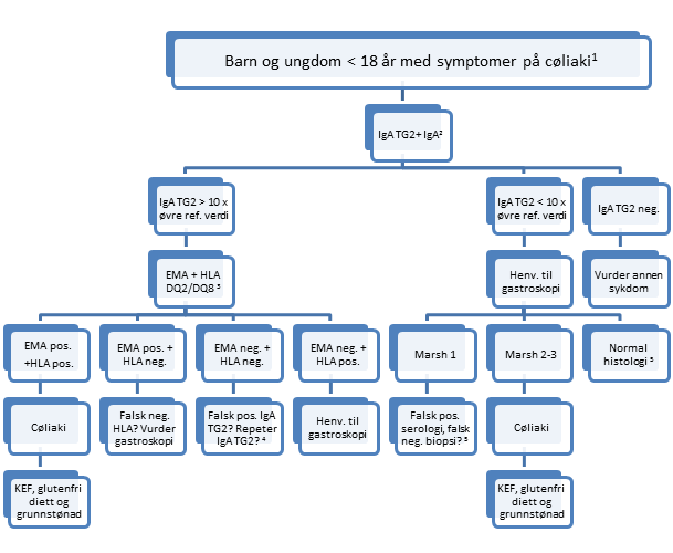 flytskjema-barn-og-unge-under-18-ar-med-symptomer-pa-coliaki.png