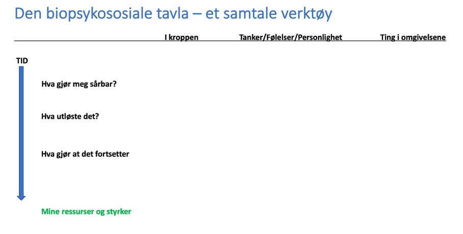 Den biopsykososiale tavla