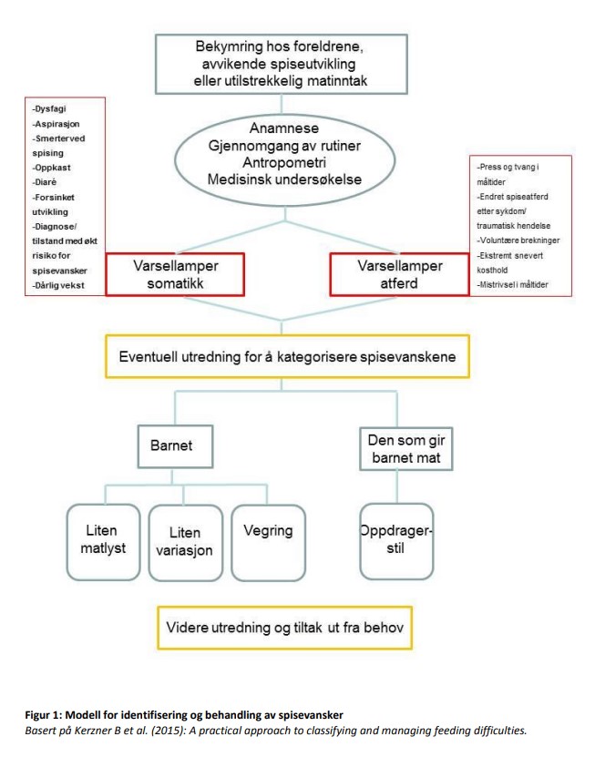 Figur spisevansker.jpeg