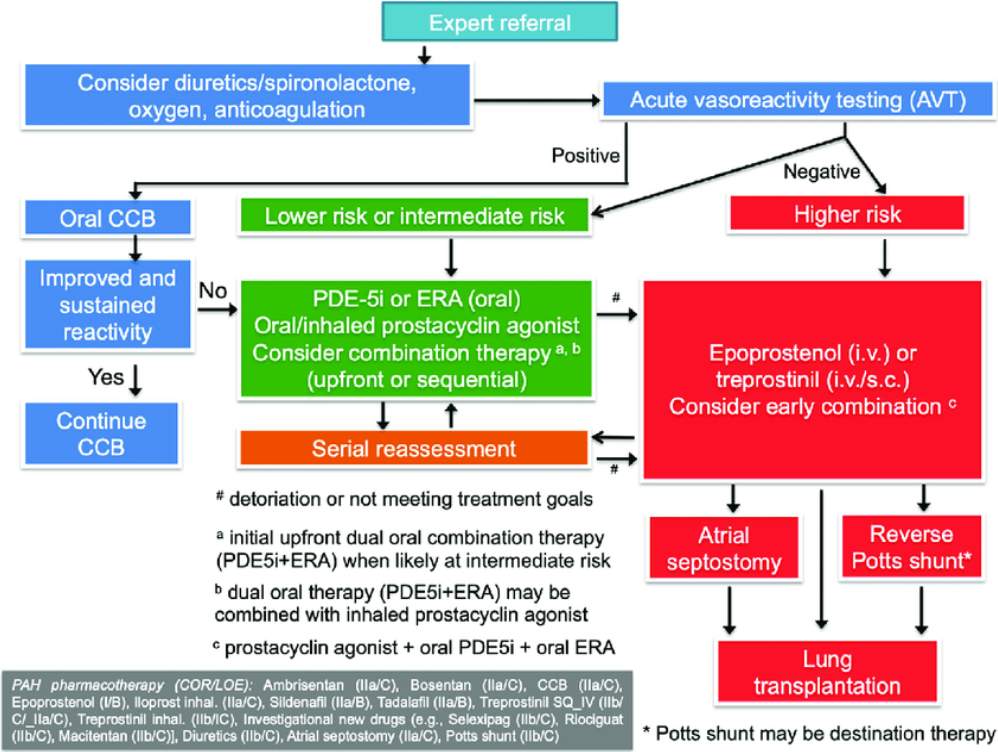 Flytdiagram pulmonal hypertensjon