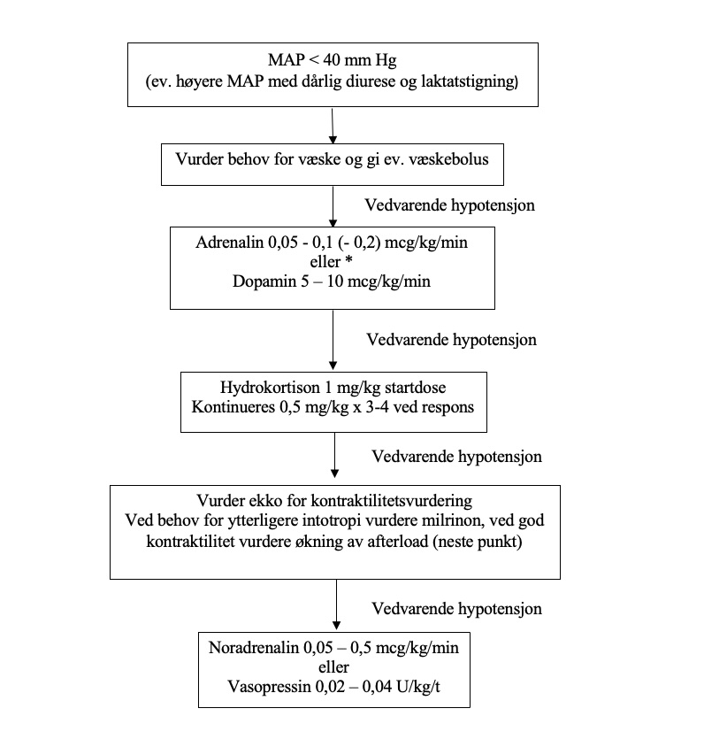 2. Terminbarn (ikke PPHN eller HIE med terapeutisk hypotermi).jpg