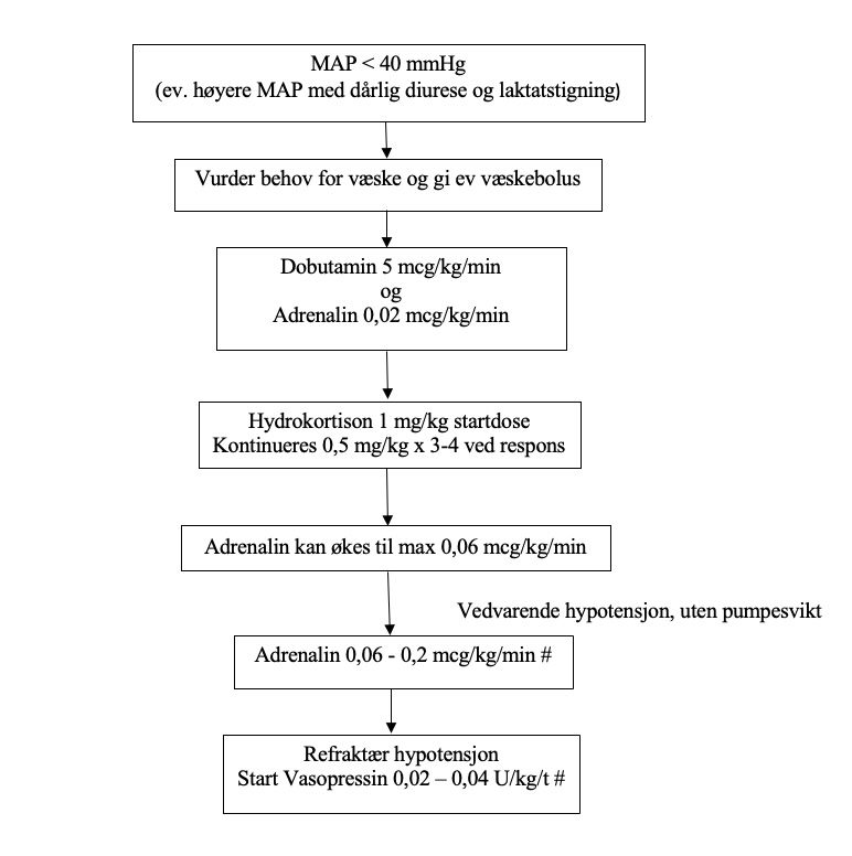 Hypoksisk iskemisk encefalopati (HIE) med terapeutisk hypotermi