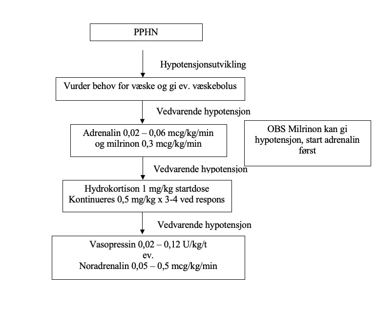 Pulmonal hypertensjon (PPHN)