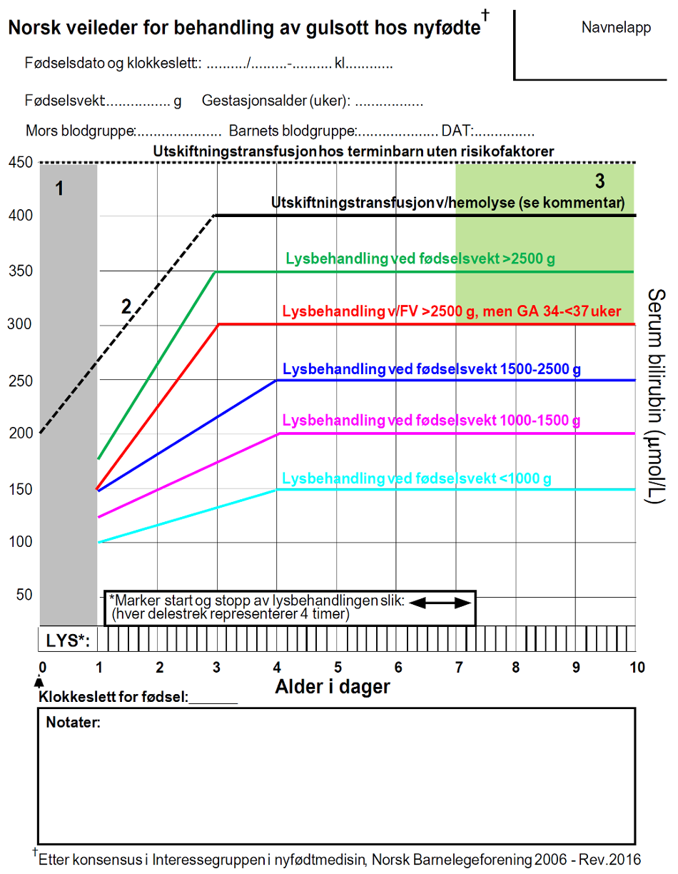 Lysbehandlingsskjema