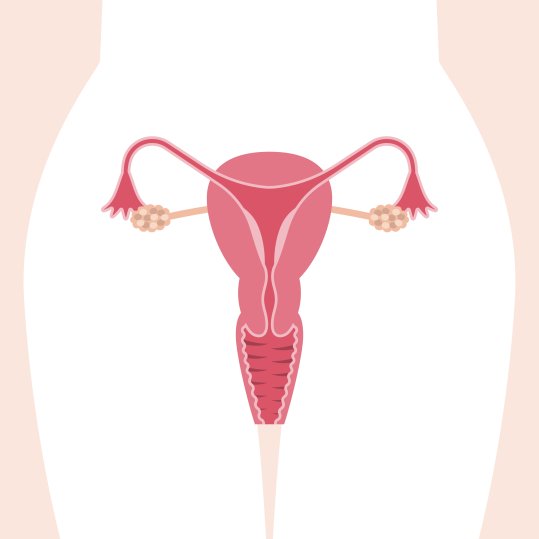 Økt risiko for endometriose hos barn født ved prøverørsbehandling
