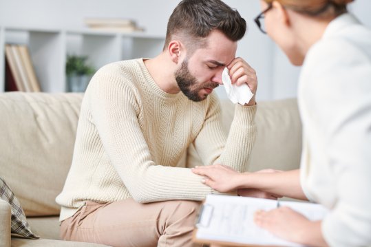 Nettverksperspektivet versus essensmodeller i behandling av emosjonelle lidelser (Tidsskrift for Norsk psykologforening)